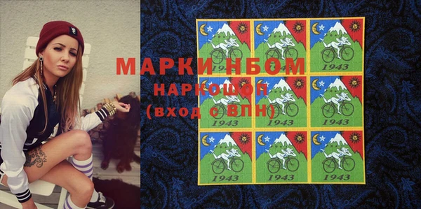 Альфа ПВП Аркадак
