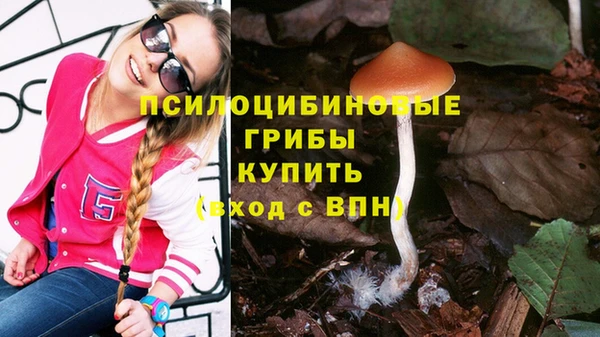 дмт Арсеньев