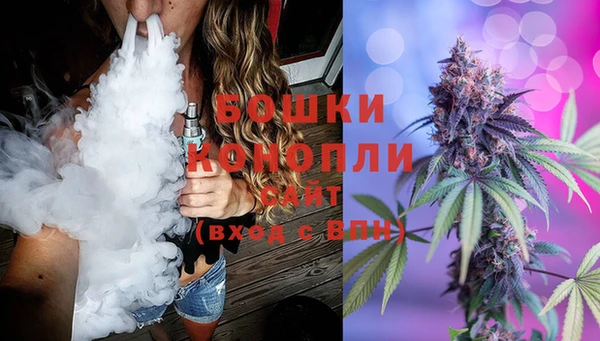 Альфа ПВП Аркадак