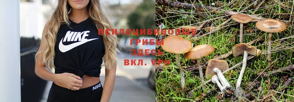марки nbome Армянск