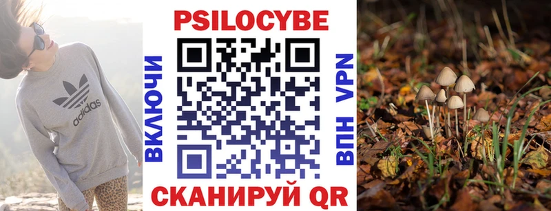 закладка  Знаменск  KRAKEN вход  Галлюциногенные грибы Psilocybine cubensis 